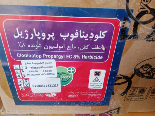 علفکش نازک برگ گندم