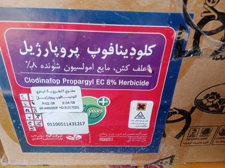 علفکش نازک برگ گندم