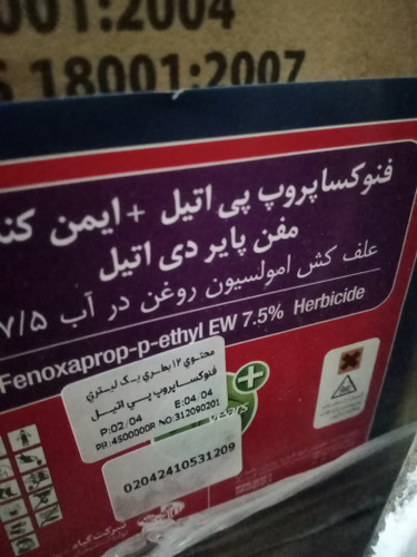 علفکش نازک برگ جو