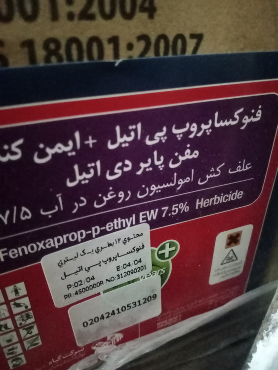 علفکش نازک برگ جو